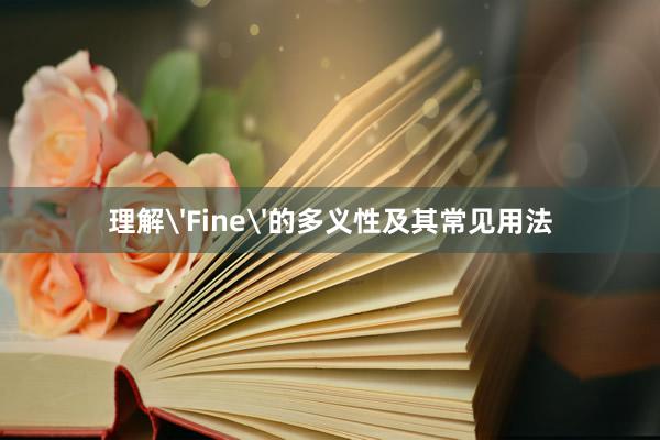 理解'Fine'的多义性及其常见用法