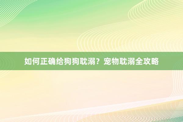 如何正确给狗狗耽溺？宠物耽溺全攻略